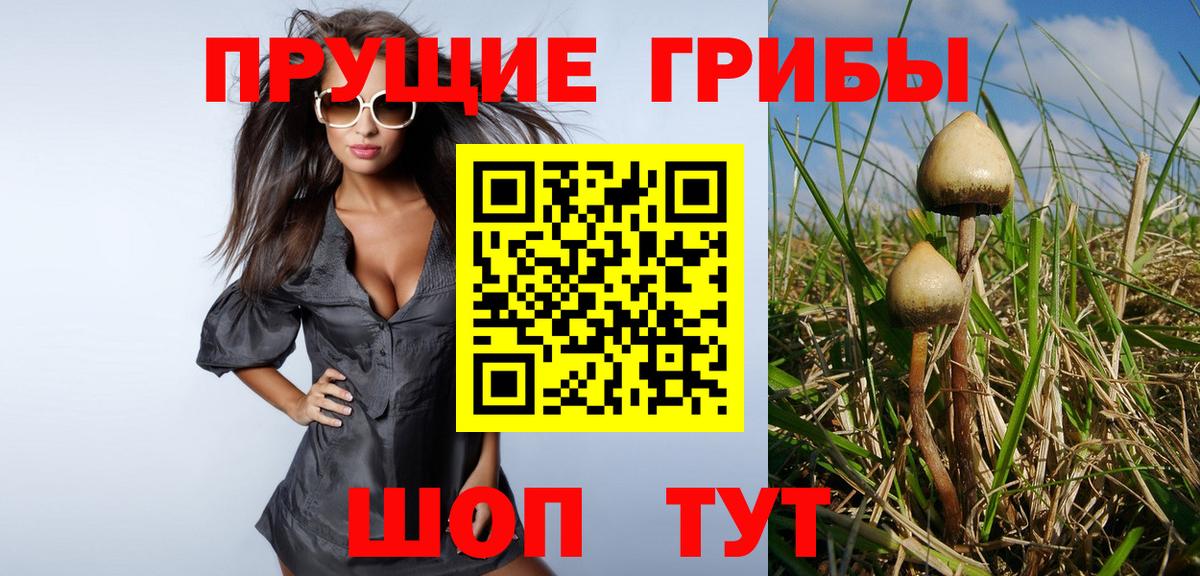 Галлюциногенные грибы Psilocybe  Вход с VPN  Людиново 