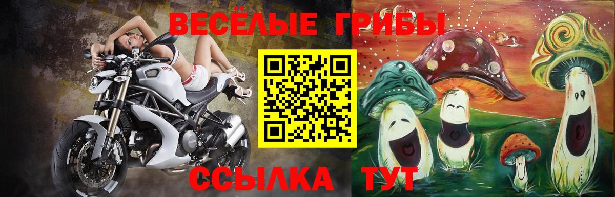 Псилоцибиновые грибы прущие грибы Людиново